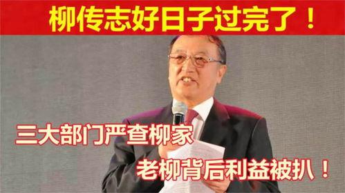 柳传志家族背景,从商界传奇到科技巨擘的传承之路